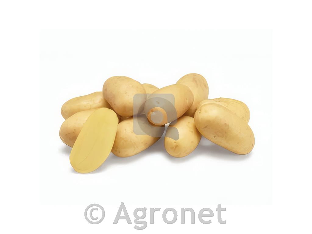 Krompir Kresnik kifeljčar 5 kg