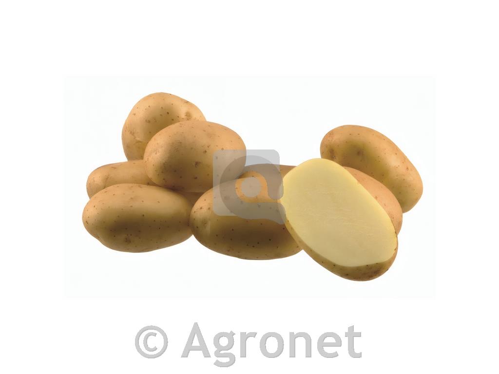 Krompir Arrow A35/55 25 kg