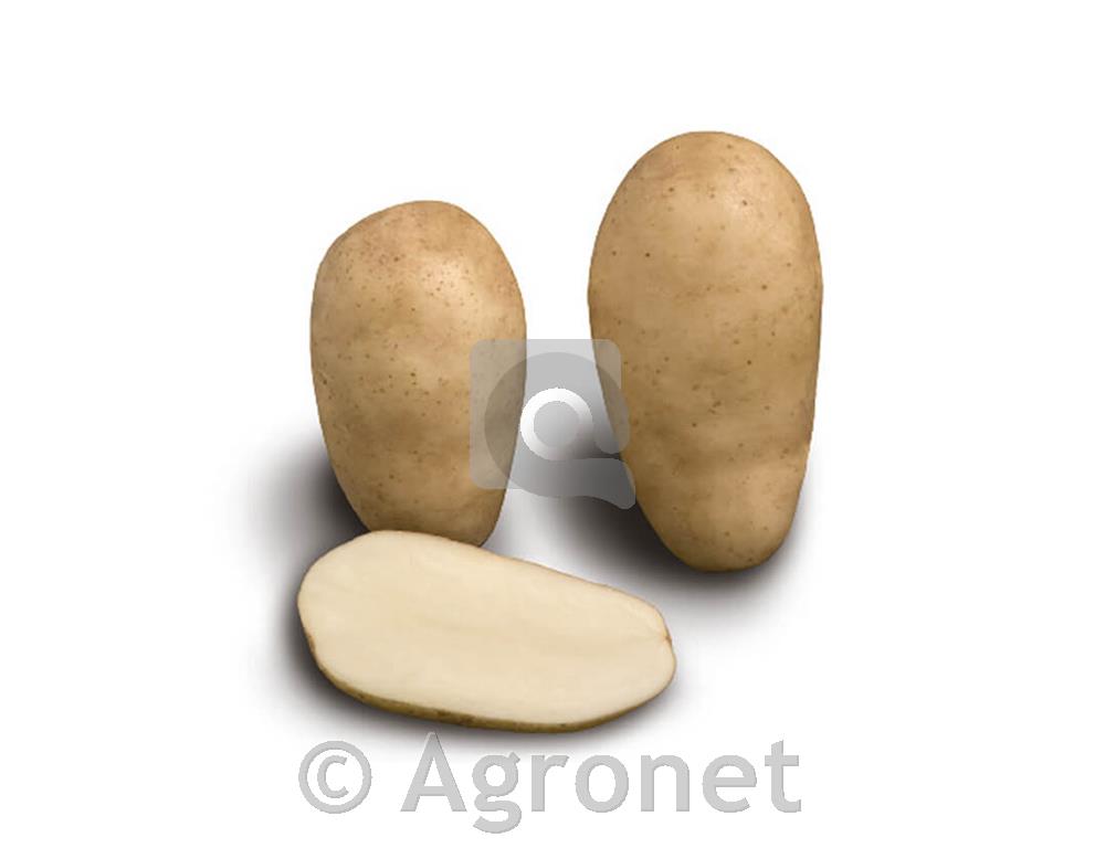 Krompir Maris Bard E 35/55 10 kg