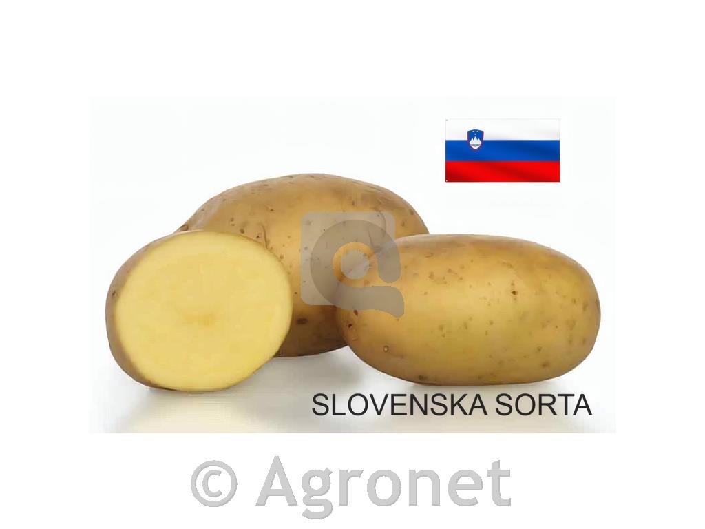 Krompir KIS SORA E28-35 50kos