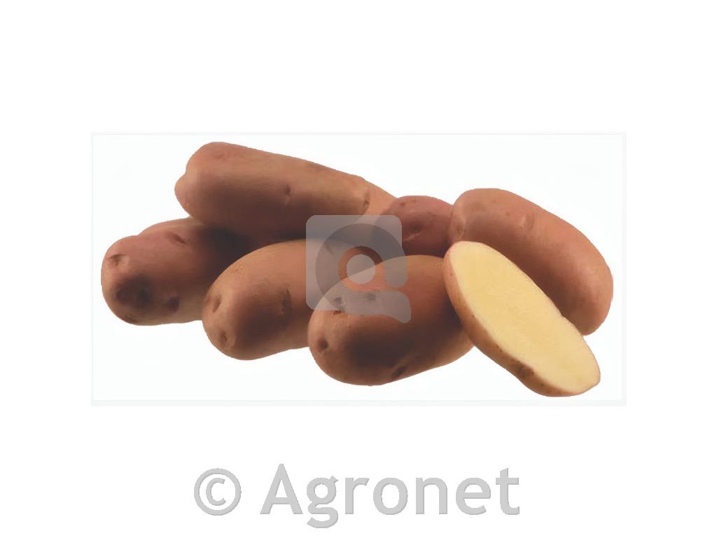 Krompir Desiree E 28/35 25kg