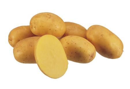 Krompir Jerla A 35/55 25 kg