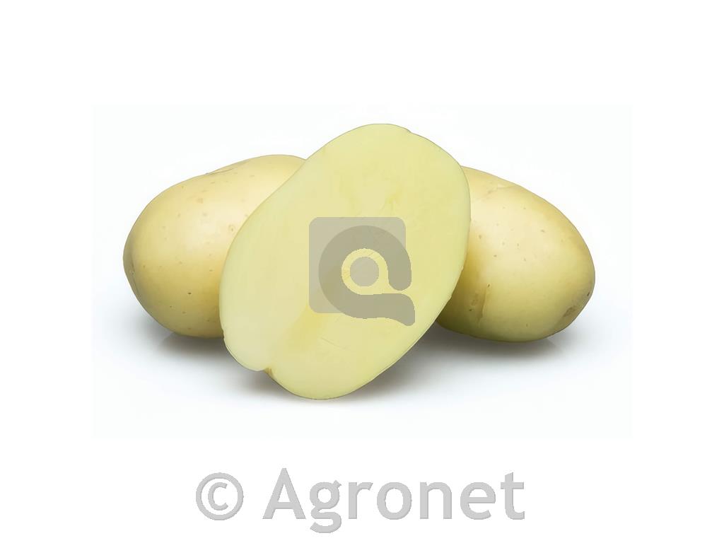 Krompir Evora A 35/55 25 kg