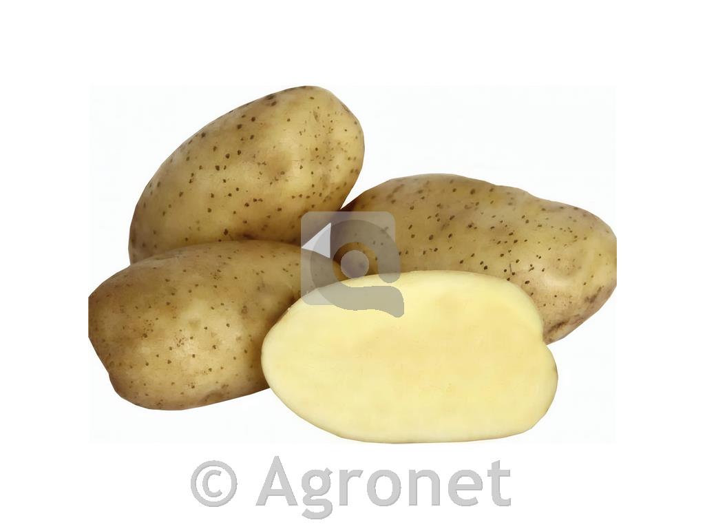 Krompir Adora E 35/45 25 kg