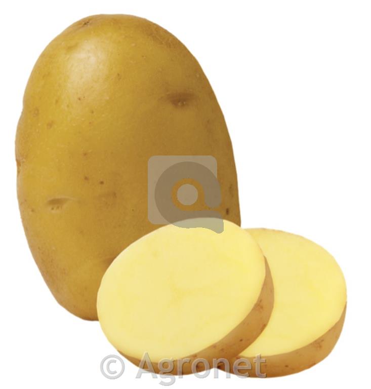 Krompir Primura E 35/55 10 kg