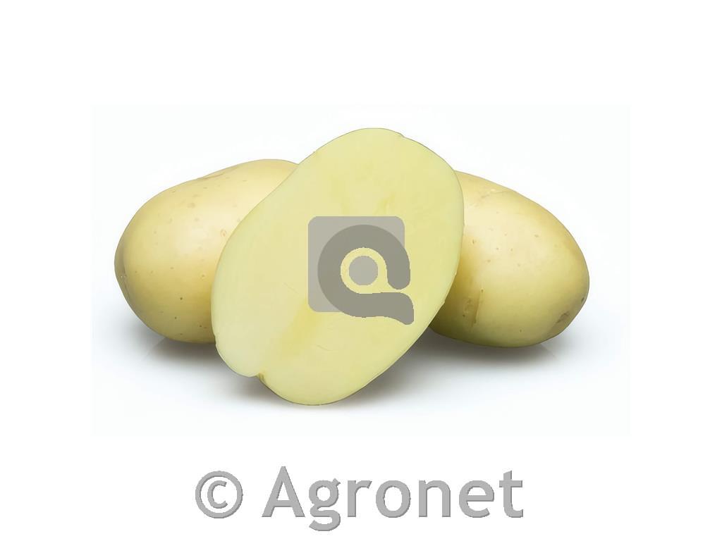 Krompir Evora E 35/55 25 kg