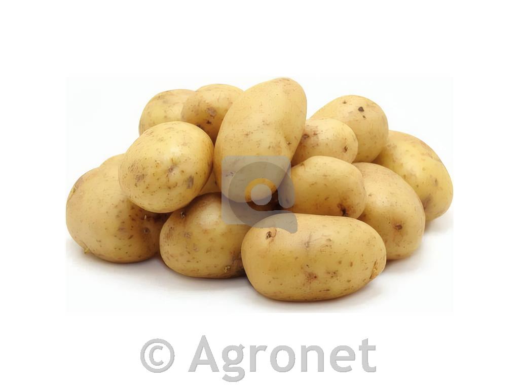 Krompir Gala A 28/35 3 KG