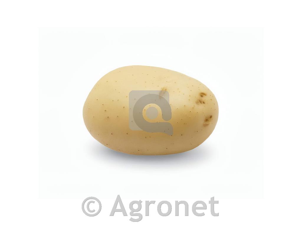 Krompir Evora A 35/55 5 kg