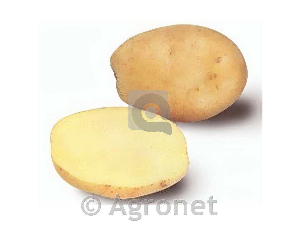 Krompir Marabel A 28/35 5 kg