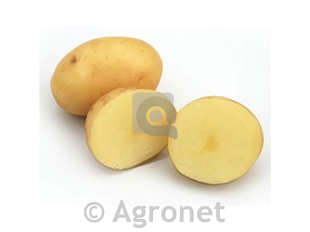 Krompir Maris Bard E 28/35 3kg