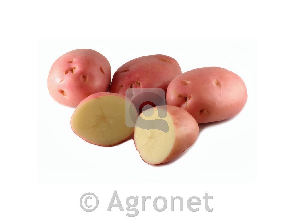Krompir Romano A 35/55 10 kg