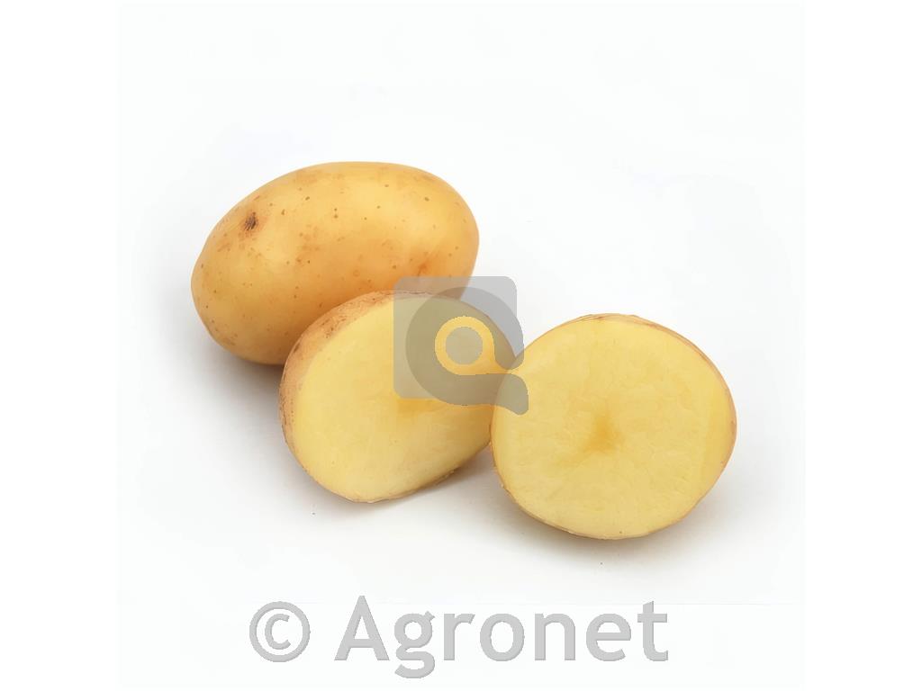 Krompir Monalisa A 35/55 5kg