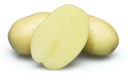 Krompir Evora A 28/35 25kg