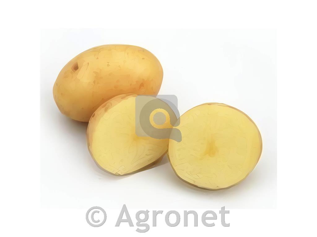 Krompir Maris Bard E 35/55 2,5 kg