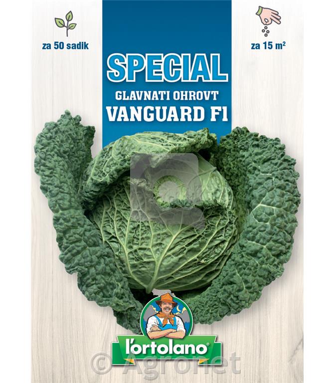 Glavnati ohrovt Vanguard F1