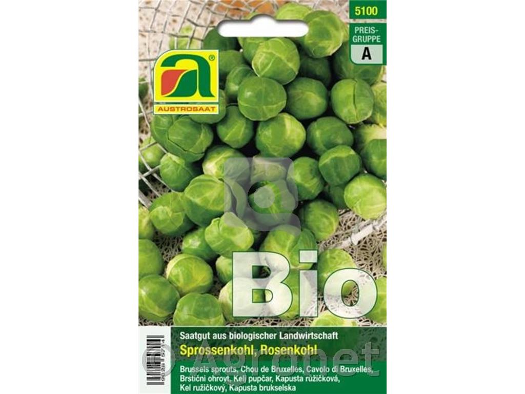 Bio brstični ohrovt "Groninger"