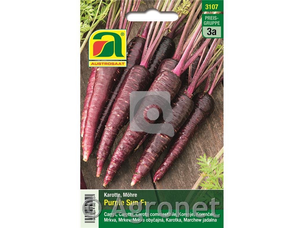 Korenček vijoličasti F1 5g