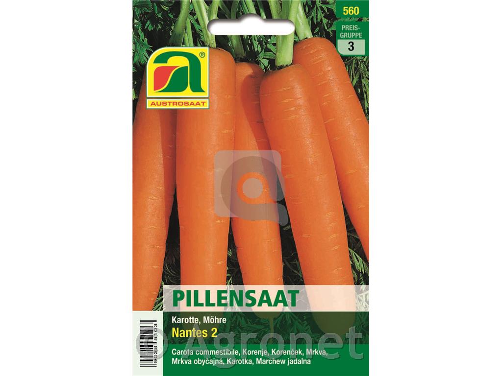 Korenček Nantes 2, pilirano seme