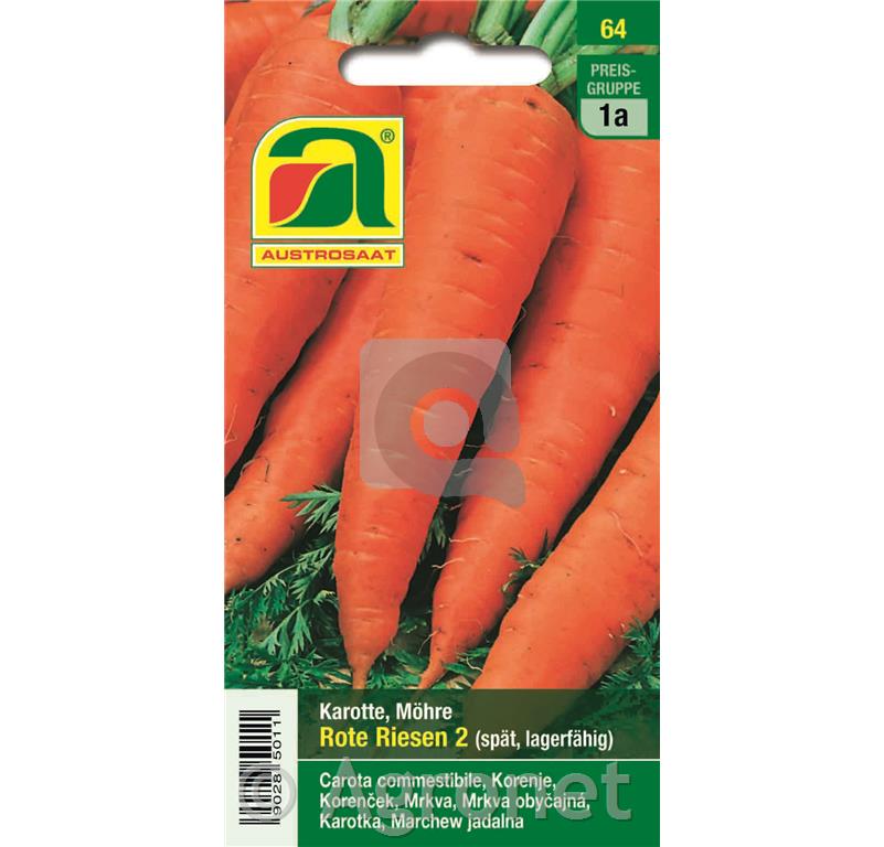 Korenje Rote Riesen 2, 5g