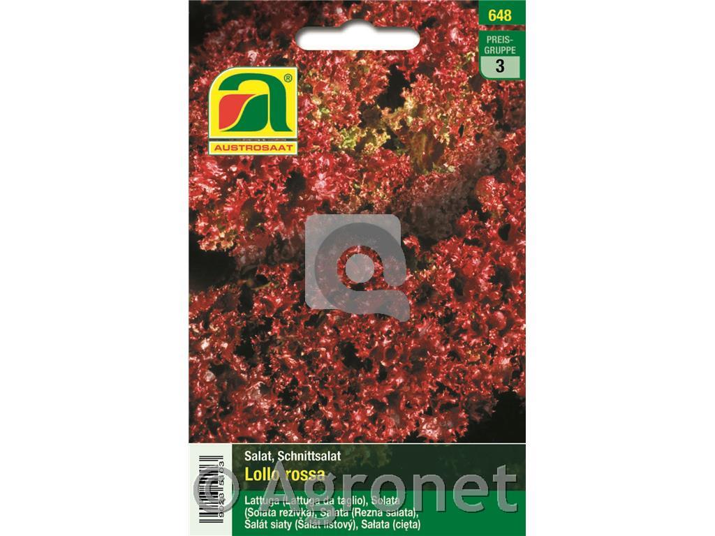Solata rezivka Lollo Rosa 5g