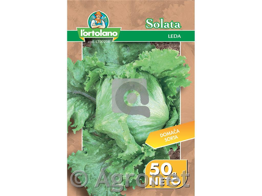 Solata Leda 50g