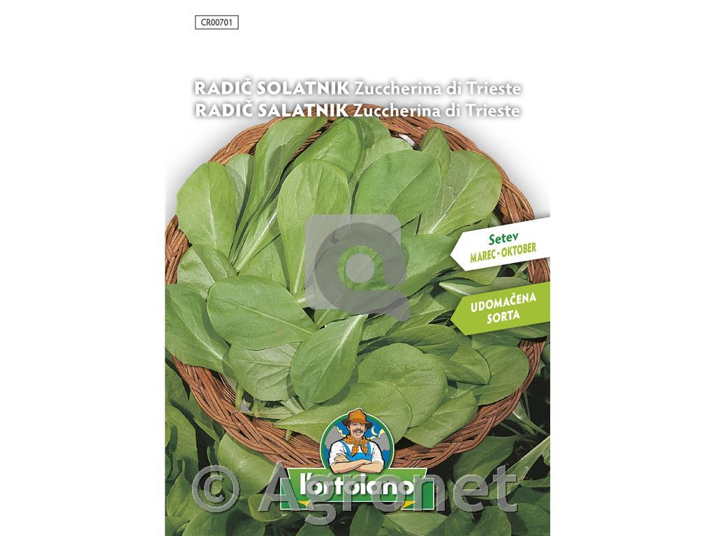 Radič Tržaški solatnik, 10 g