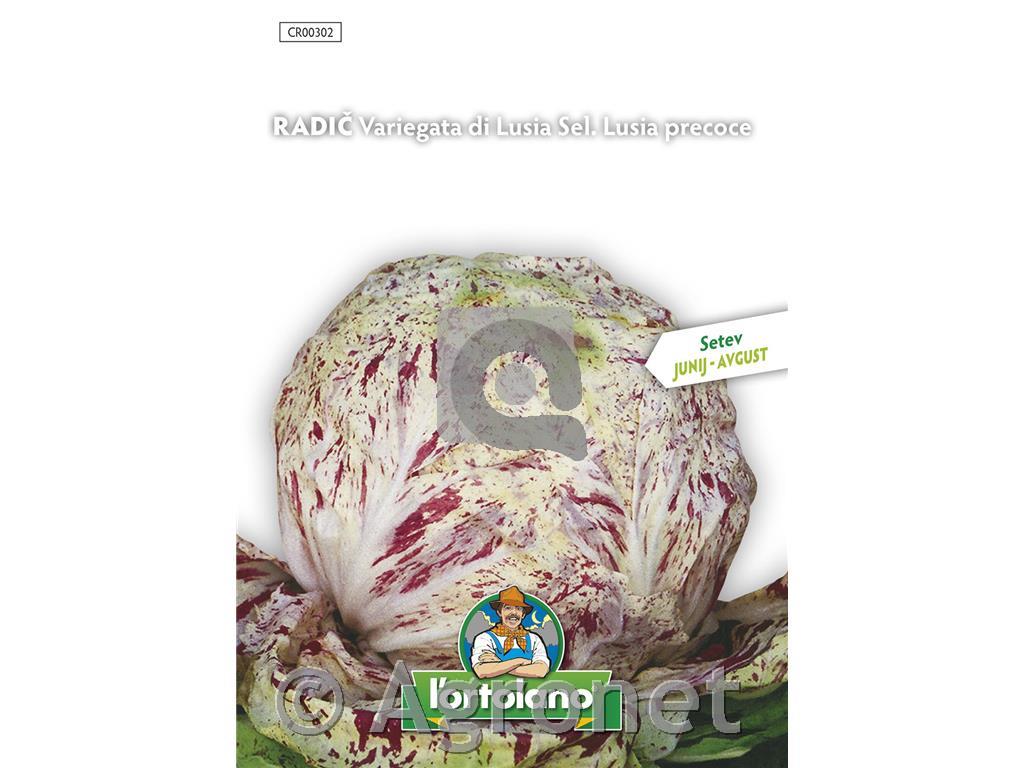 Radič Variegata di Lusia 10g