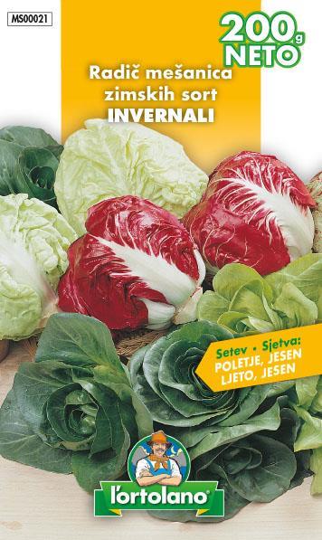 Radič mešanica zimskih sort, 200g