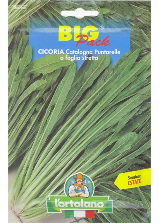 Radič Catalogna Puntarelle a foglia stretta 20g