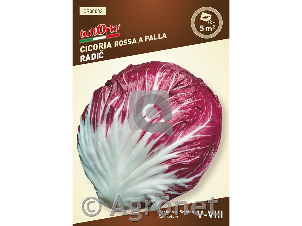 Radič Palla rossa 3, 2 g