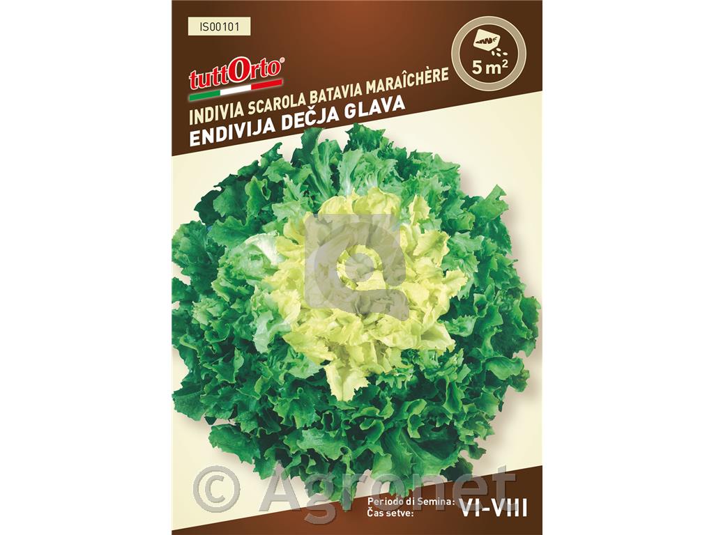 Endivija Dečkova glava 2 g