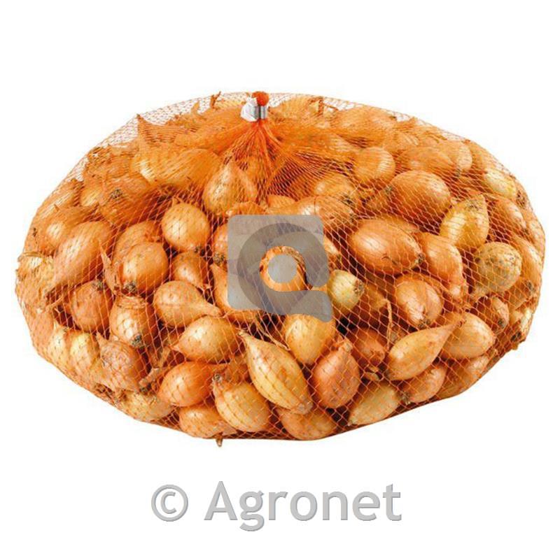 Čebulček rumeni Sturon 500g