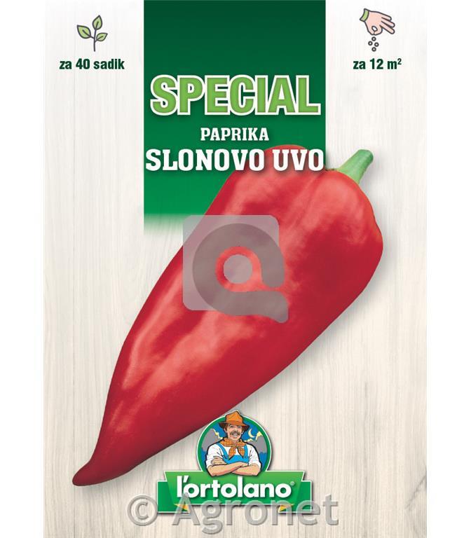 Paprika Slonovo Uvo