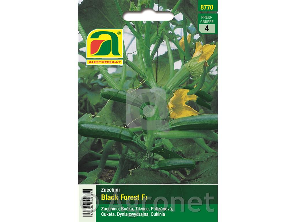 Zucchini bučke Black Forest F1, 5g
