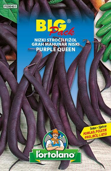 Nizki stročji fižol Purple Queen 70g