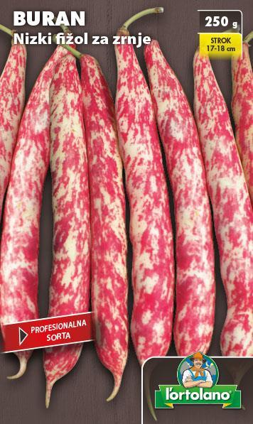 Nizki fižol za zrnje Buran 250g
