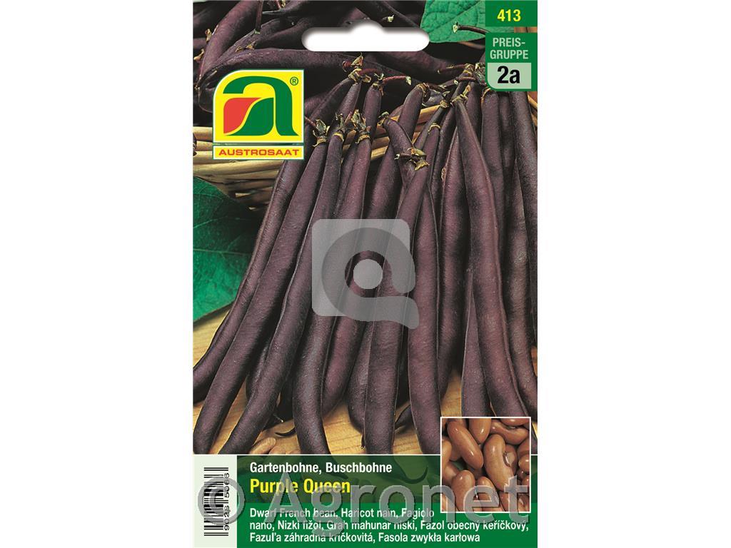 Nizek stročji fižol Purple Queen, 40g