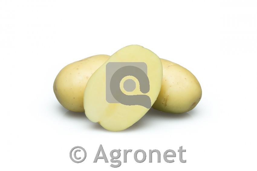 Fižol visoki Borlotto 250 g