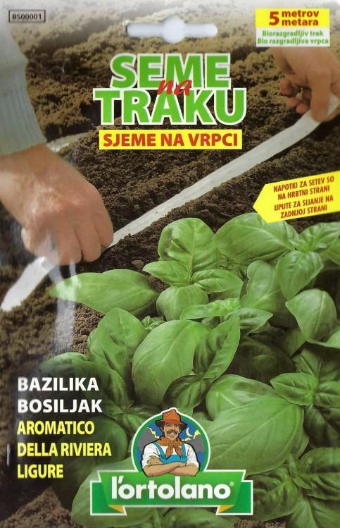 Bazilika, seme na traku