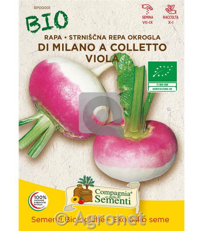 Repa Milano colletto viola EKO 10 g