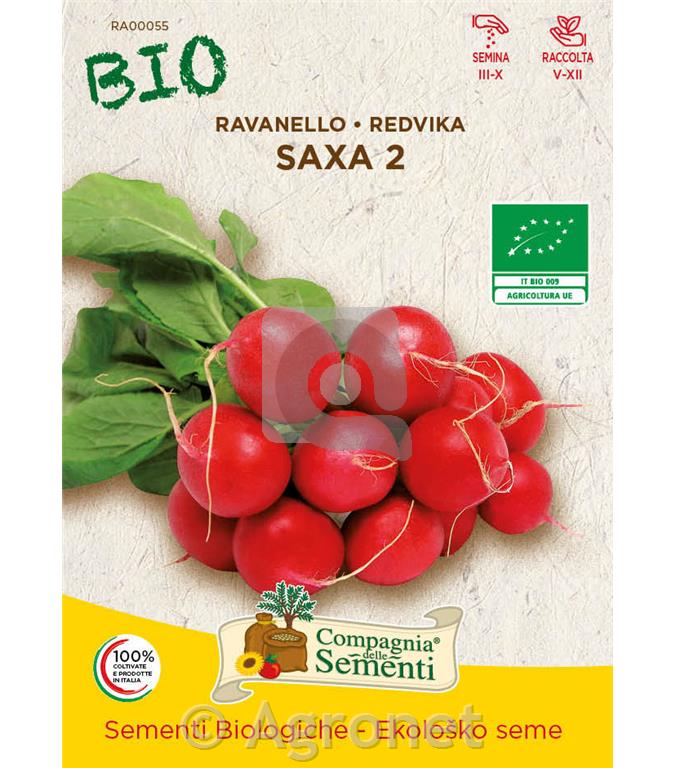 Redkvica Saxa 2 EKO 10 g