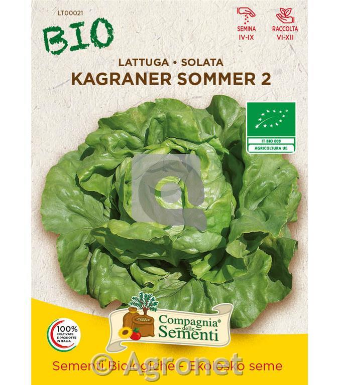 Solata EKO Estiva di Kagran 2, 7 g