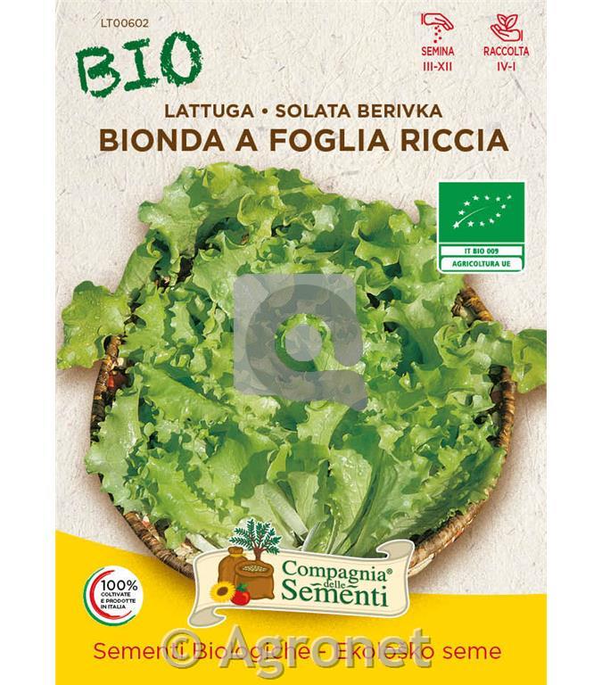 Solata Bionda a foglia riccia EKO 7 g