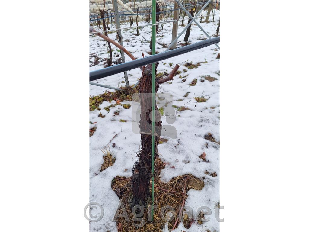 Količek iz stekloplastičnih vlaken 160cm