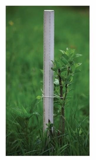 Opornik za rastline fi 37 x 165 cm