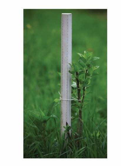 Opornik za rastline fi 37 x 230 cm