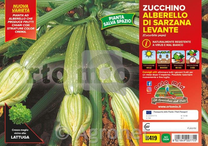 Bučke Levante F1, 4 kos
