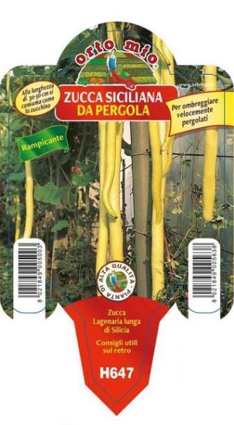 Buča vodnjača Lagenaria Siciliana, 1 kos