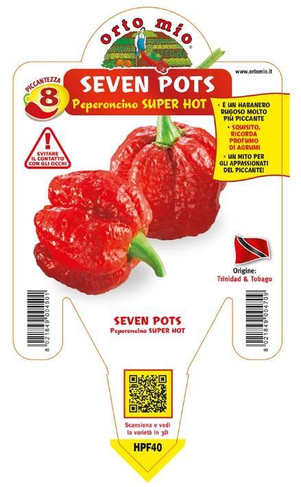 Čili 7 Pots Red, 1 kos