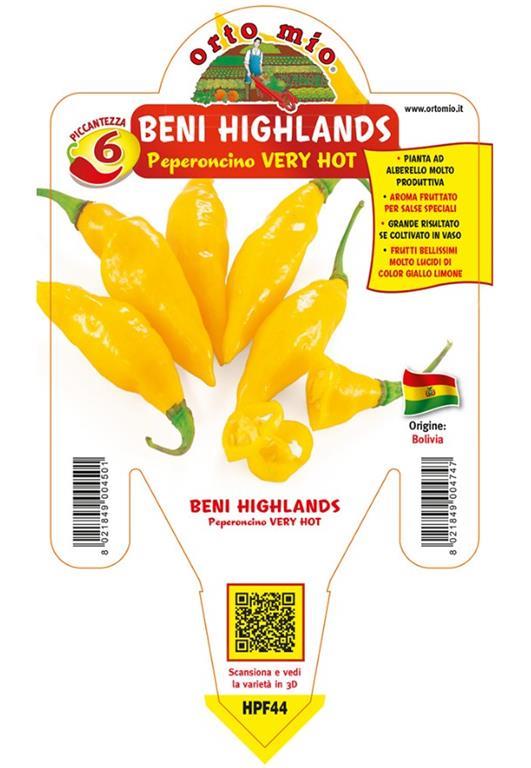 Čili Beni Highlands Yellow, 1 kos